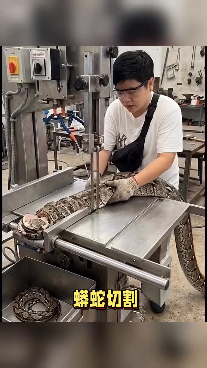 蟒蛇切割。
蟒蛇切割。
