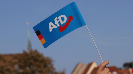 【德国内政部长指控：德国选择党表现得像“普京的德国政党”。】德国内政部长亚历山大