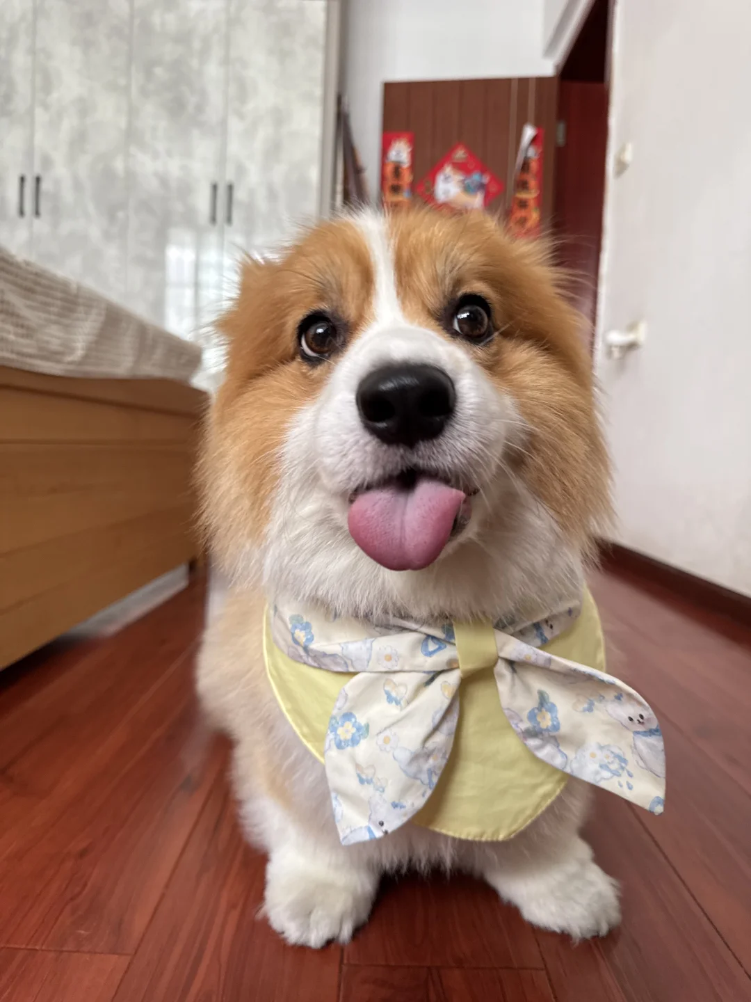 周二周二 精神错乱