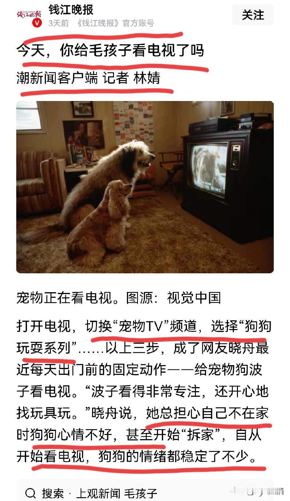 这到底是怎么了？
媒体直接发布应该给毛孩子看电视的报道，难道是没有新闻可以播报了