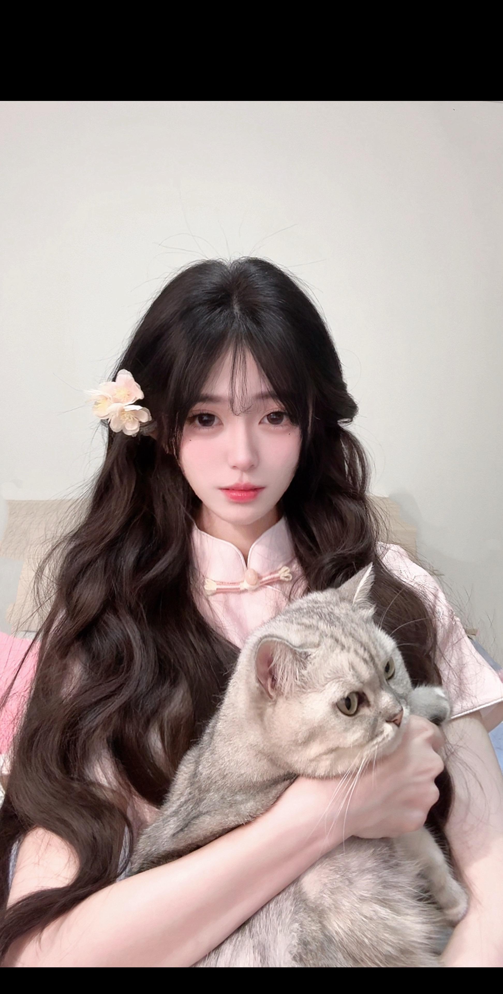 花簪鬓，猫在怀
