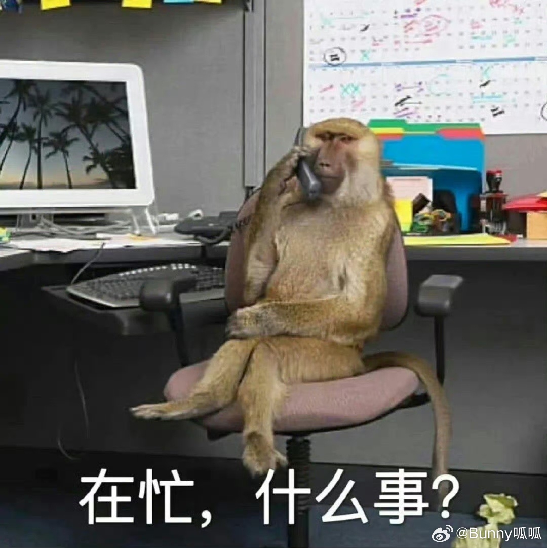 最尊重猴的剧组出现了 吗喽大闹众合将经典意象现代化改编，创意十足，欢乐的剧情之下