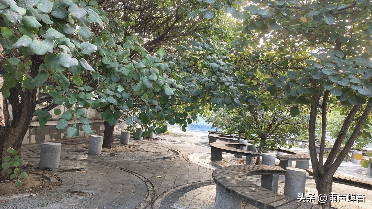 很准的识人术：
 
看一个人，别听他嘴上说得多么天花乱坠，也别信他刻意装出来的体