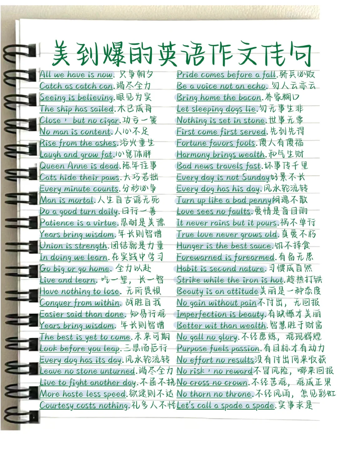 美到爆炸的英文短句！写进作文！瞬间高大上！