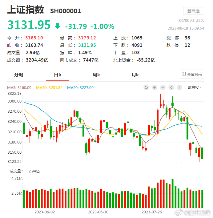 指数继续拉跨，今天收盘创了新低，跌破了3144点的胡锡进底！活跃资本市场的重磅宣