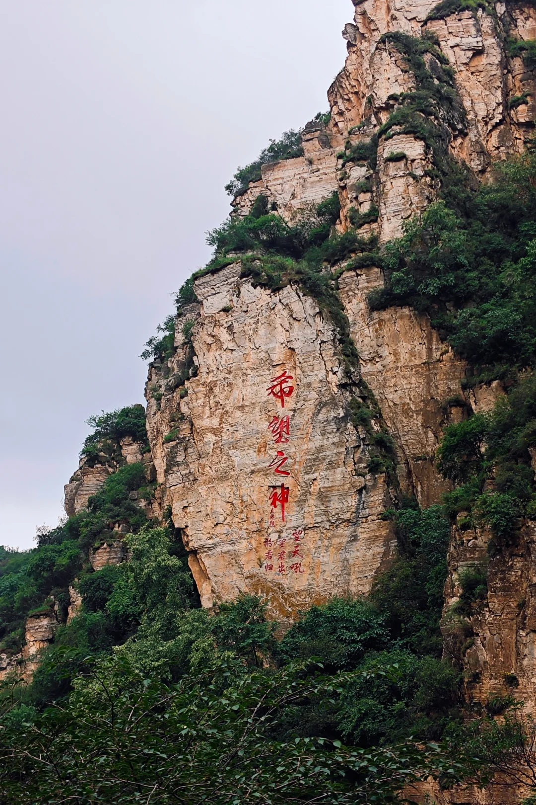 8.3天津出发北灵黄草梁，高山草甸绿野仙踪