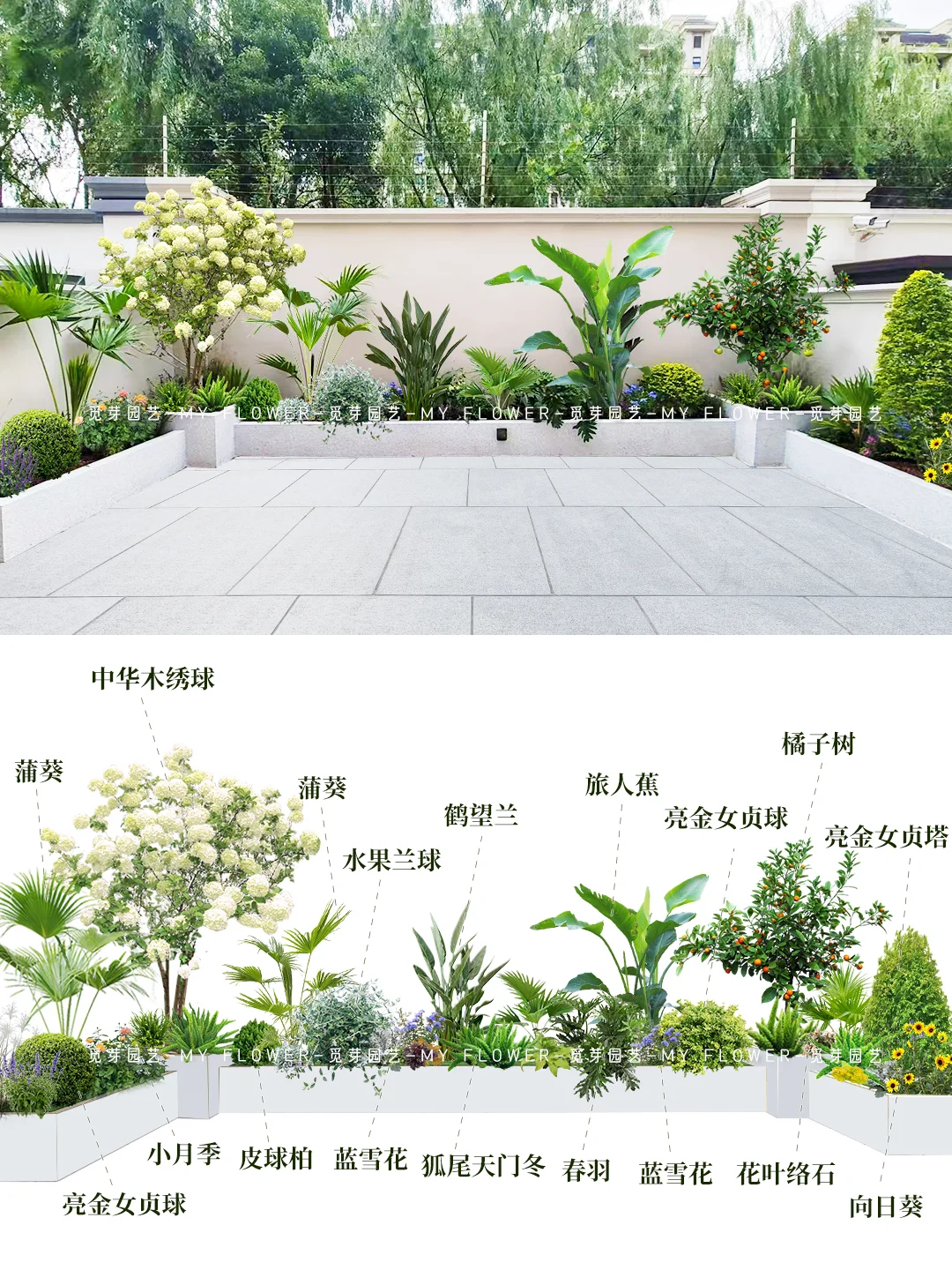 被邻居夸爆的🌸简约风小院子～来抄作业吧