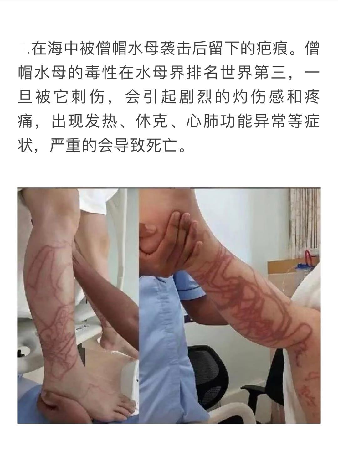 我们总是在思考。总是思考着人类的起源，次元的悖论，库仑力的去从。然而我...