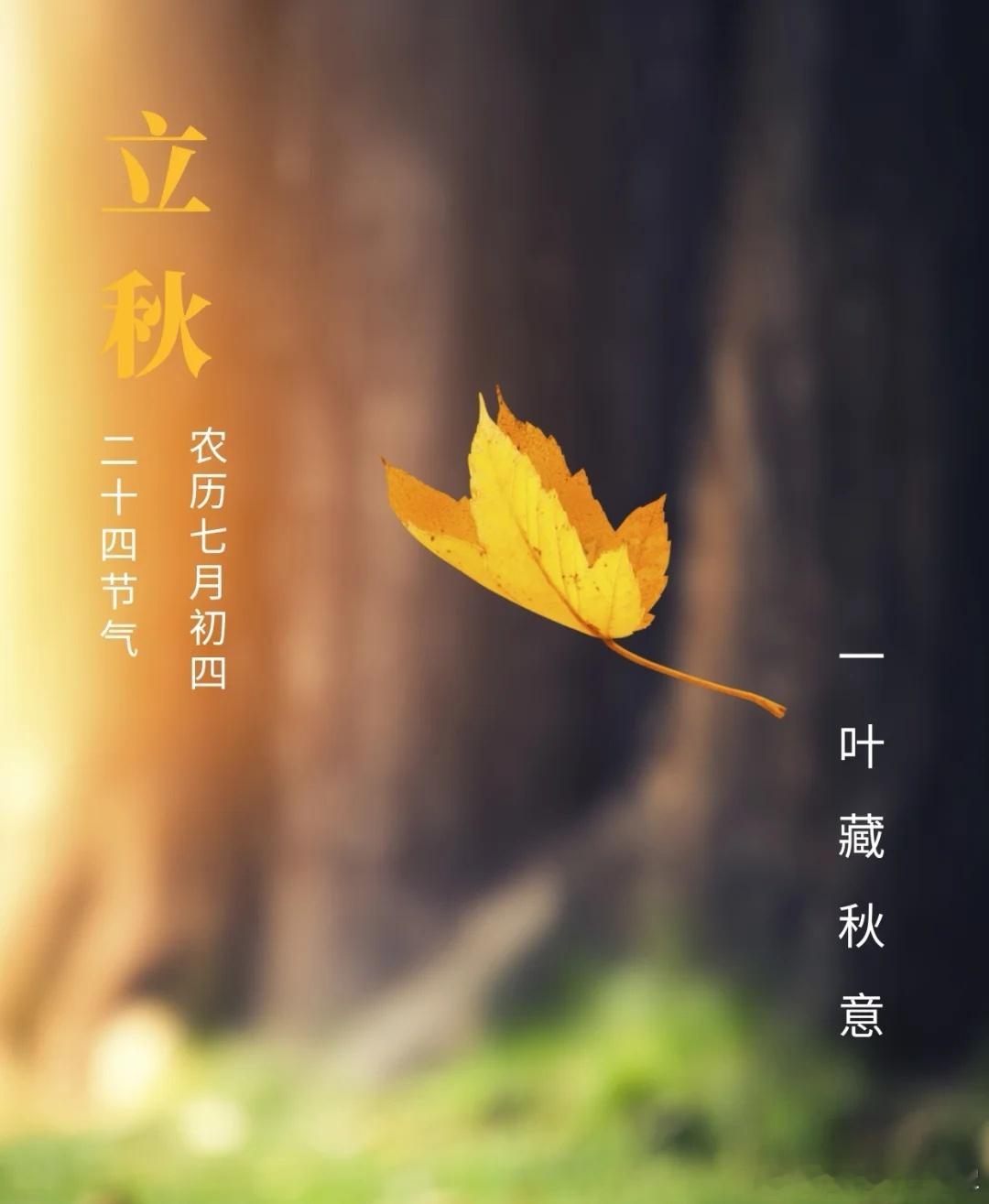 #立秋文案#秋风送清凉，美好亦安然。暑气未消，立秋忽至。秋风起，湖畔渐微凉，落叶