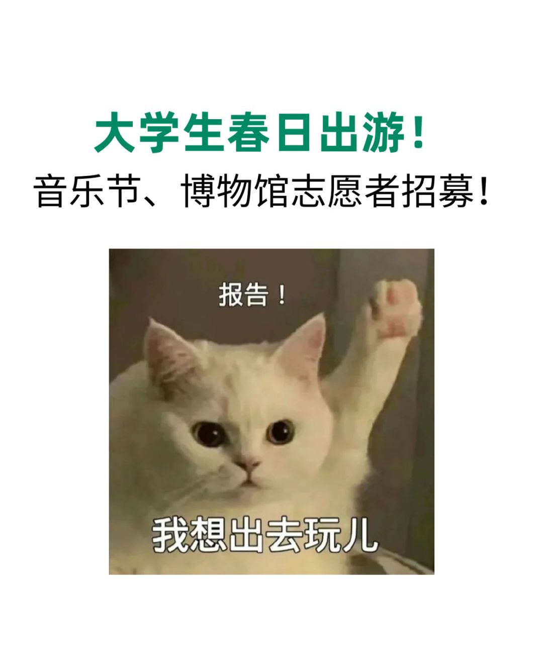 大学生春日出游！音乐节、博物馆志愿者招募
