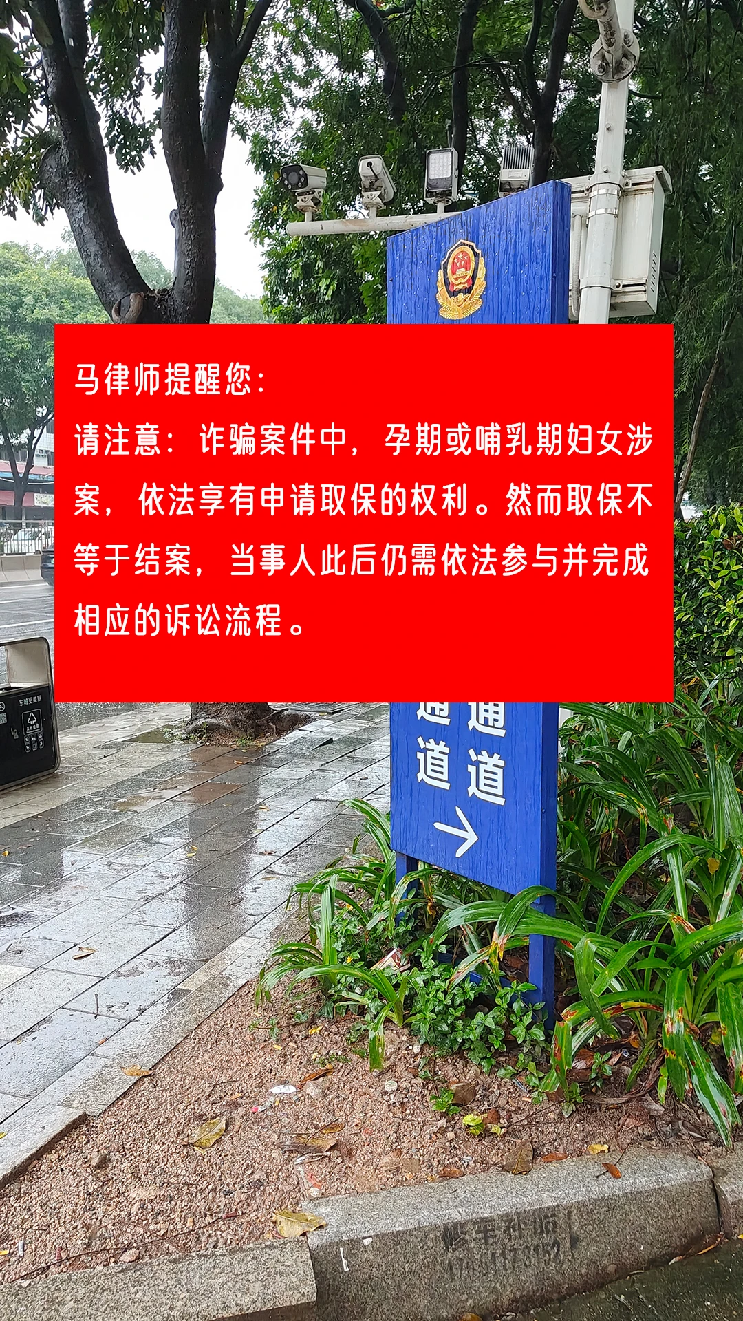 马律师提醒您： 请注意：诈骗案件中，孕期或哺乳期妇女涉案，依法享有申请...