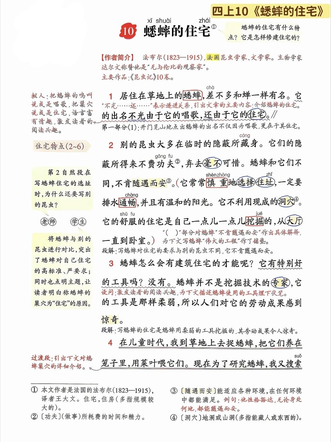 四年级上册语文，第三单元阅读10《蟋蟀的住宅》课堂学习笔记，收藏预习~