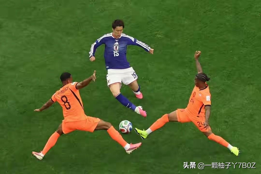 荷兰2-2日本赛事趣评
本届美加墨世界杯F组首轮荷兰对阵日本的较量看点拉满，整场