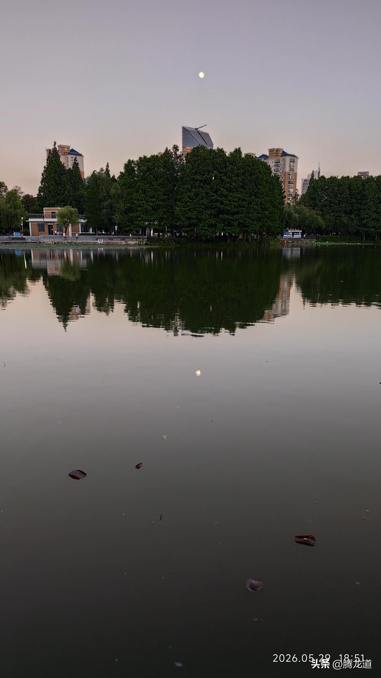 分享你随手拍的风景月落湖中分外明