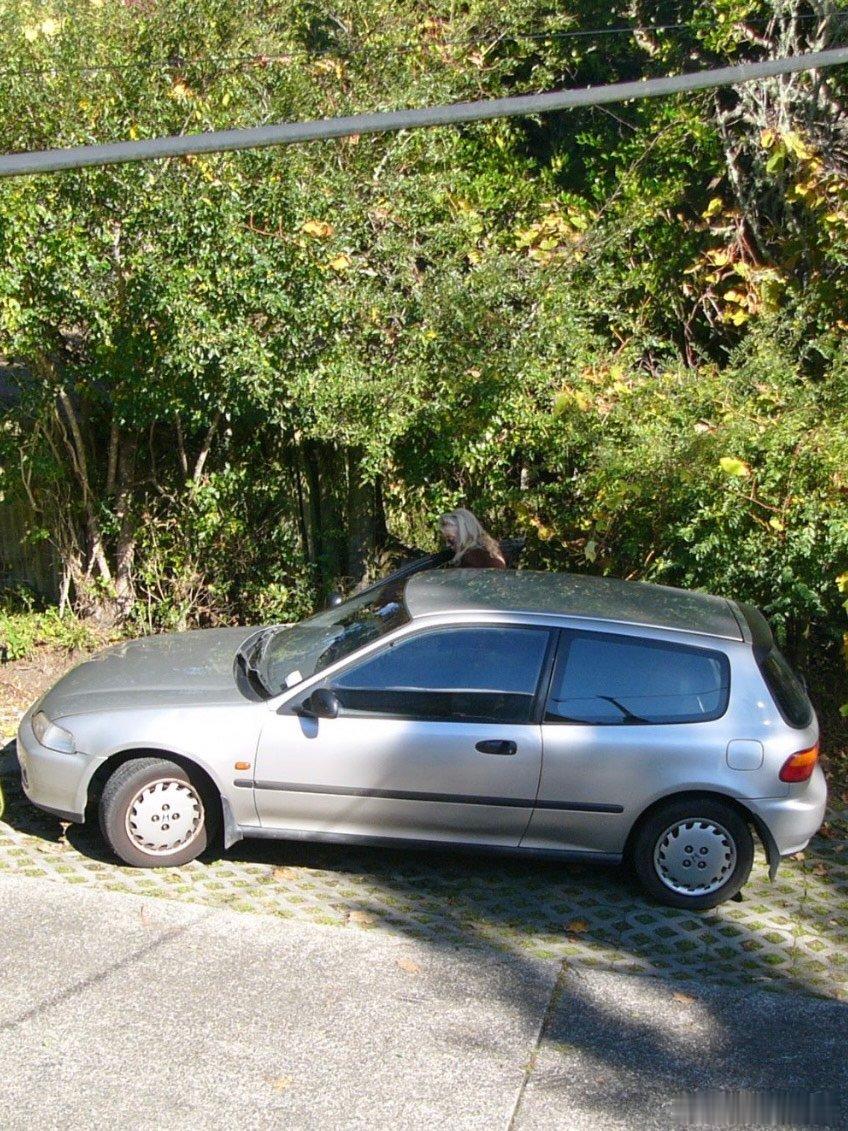 大家看我在二手网站刷到了什么明天去看车 ​​​