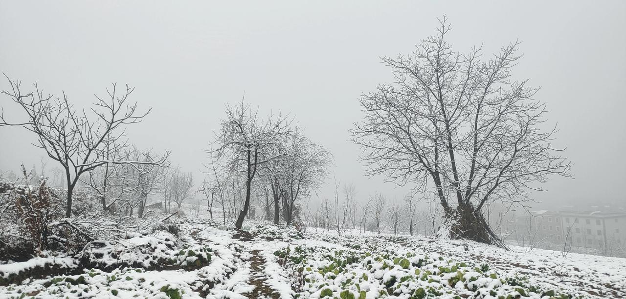 正月十九，乌蒙山的春雪
        刚过元宵节的第五天，正月十九日傍晚，乌蒙