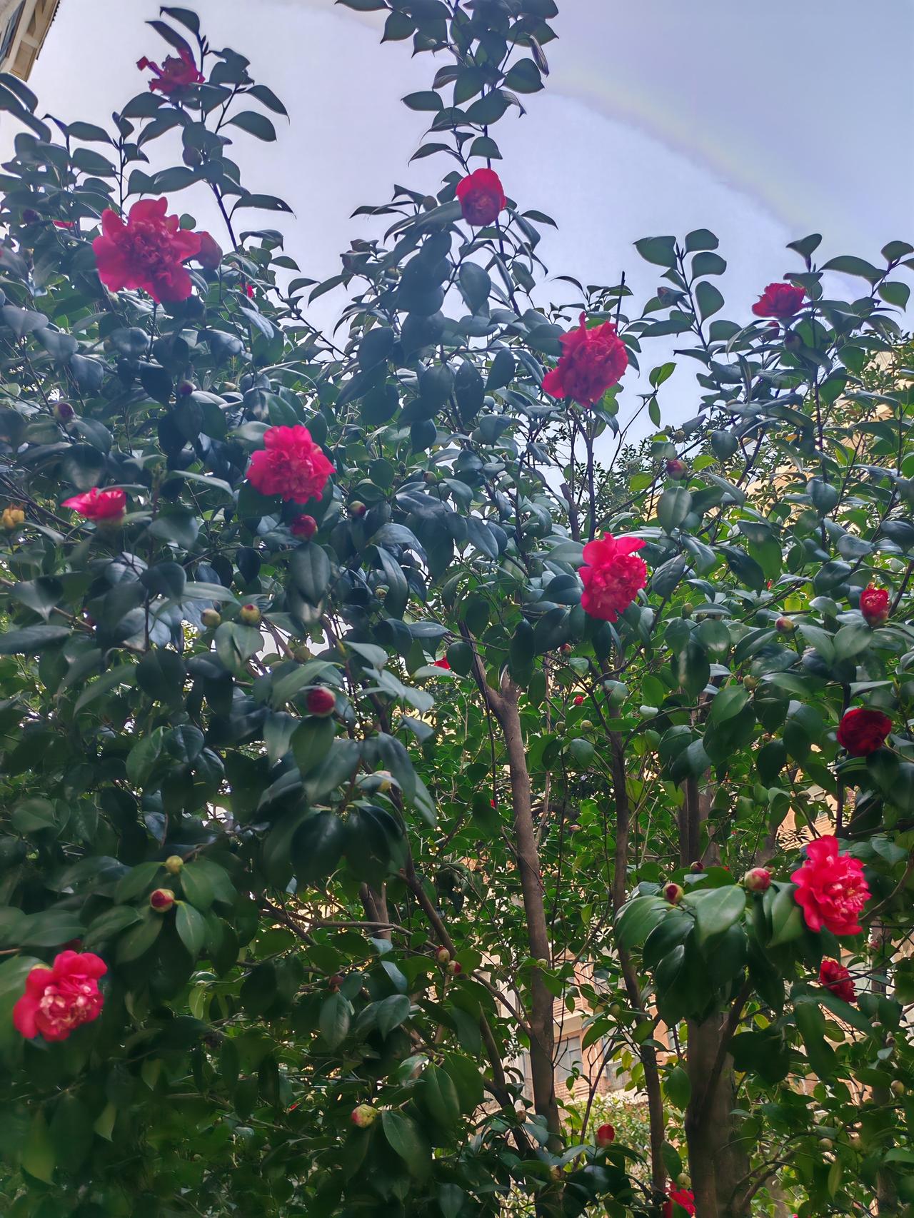 1. 这年头，最好的底气，还是自己那早出晚归挣的生活费；努力赚钱吧，钱是成年人最