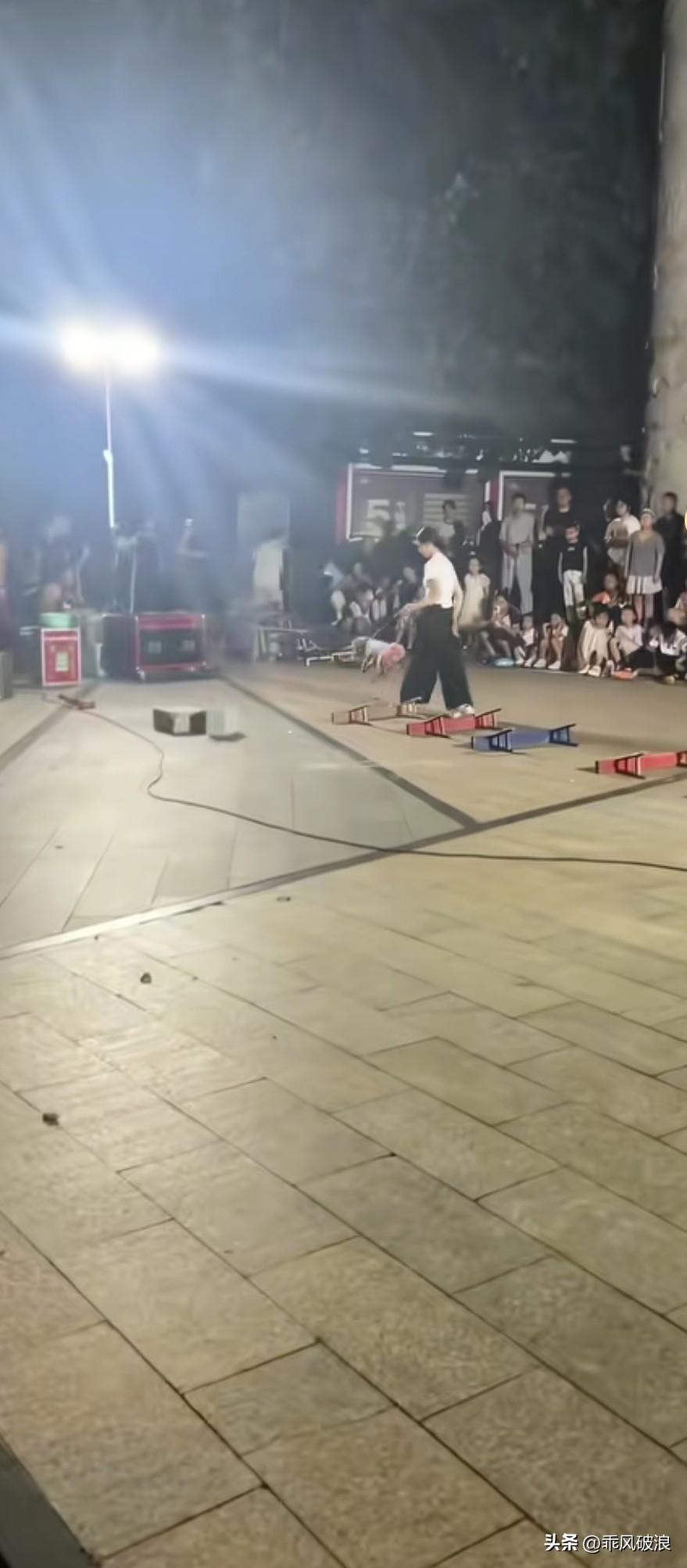 主人领着泰迪在大街上卖艺，吸引了众多观众。每表演完一个节目，泰迪便被带到观众面前