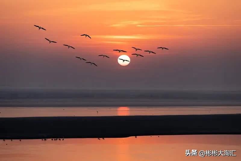 新加坡经济想摆脱困境，短期内压力不小。2026年中东冲突让油价飙升，布伦特原油一