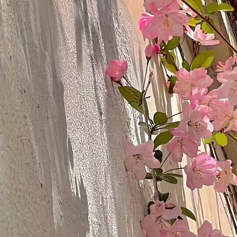 千帆过后，要学会坚强，学会忍耐，学会从容；顺境时，多一份思索，逆境时，多一份勇气