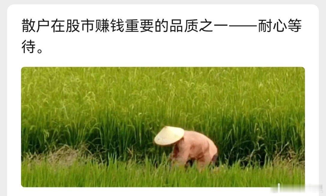 a股投资 农民👨🏻🌾买好的种子，在该播种的季节播种，在该收获的季节收获。投