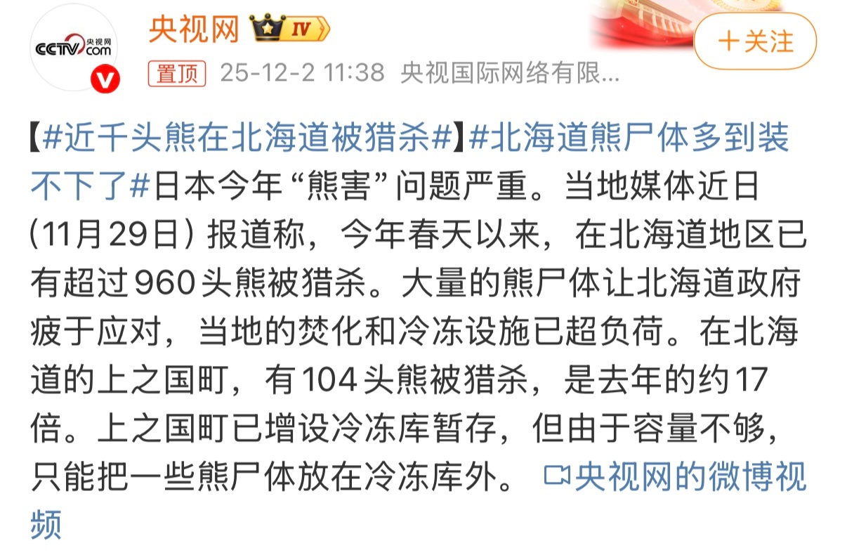 北海道熊尸体多到装不下了 大规模猎杀熊群并非生态问题的终点，反而暴露了应对人熊冲