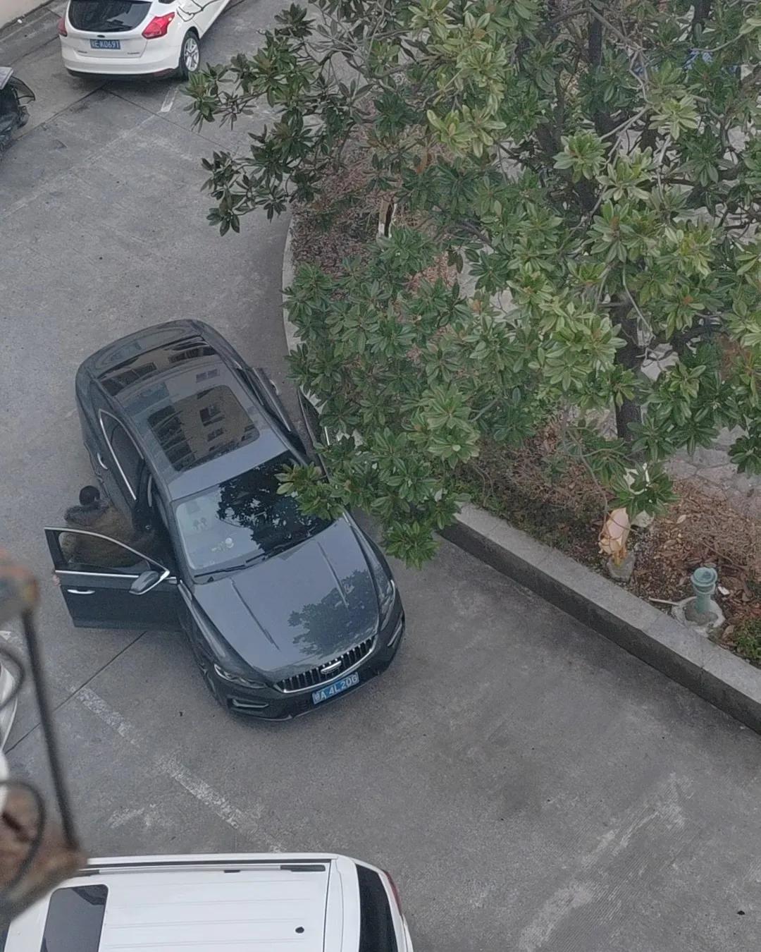 不擅长的事真的不要硬做
比如：开车
不是不求上进，而是不想害人性命
之所以拿了驾