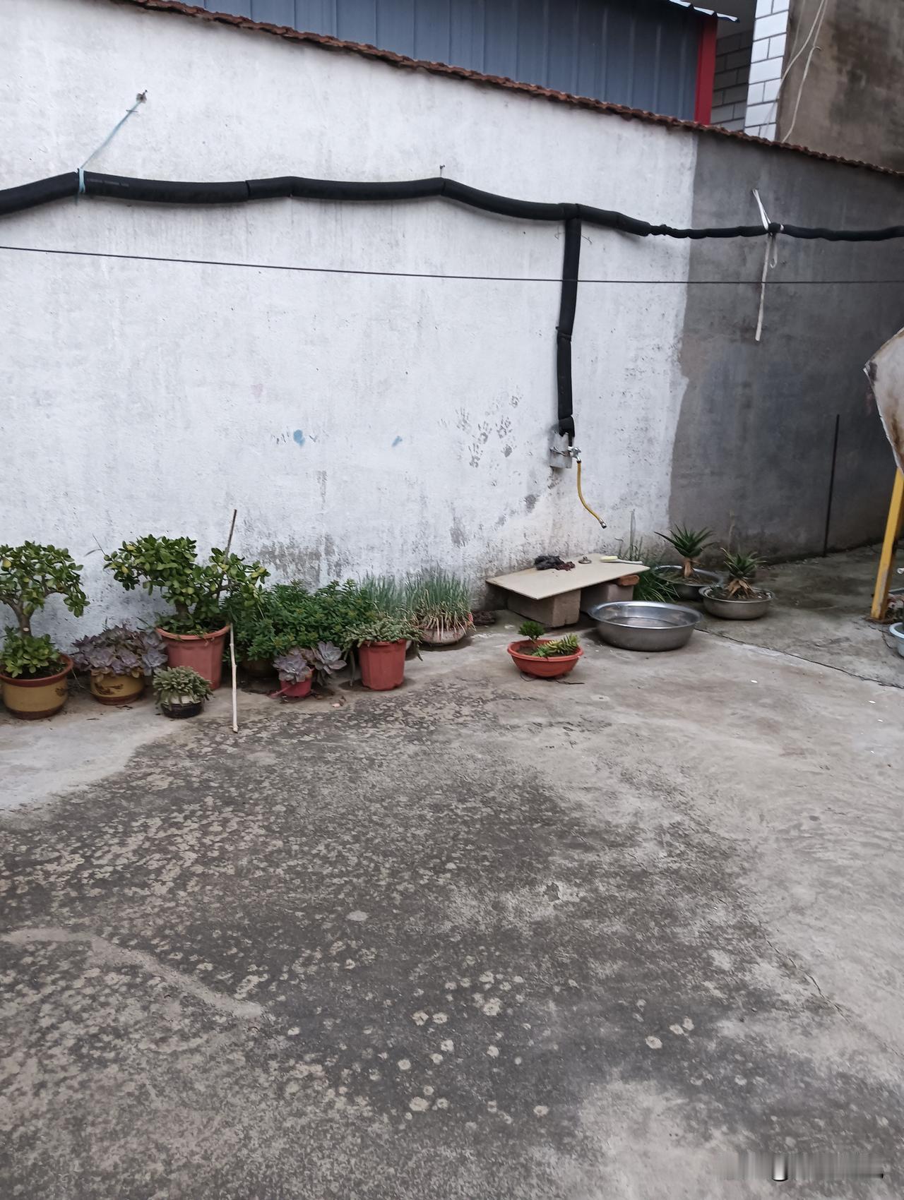 在城市的喧嚣中，能有个小院一隅，与绿植相伴，简直是奢侈的享受。就像高明的如是院子