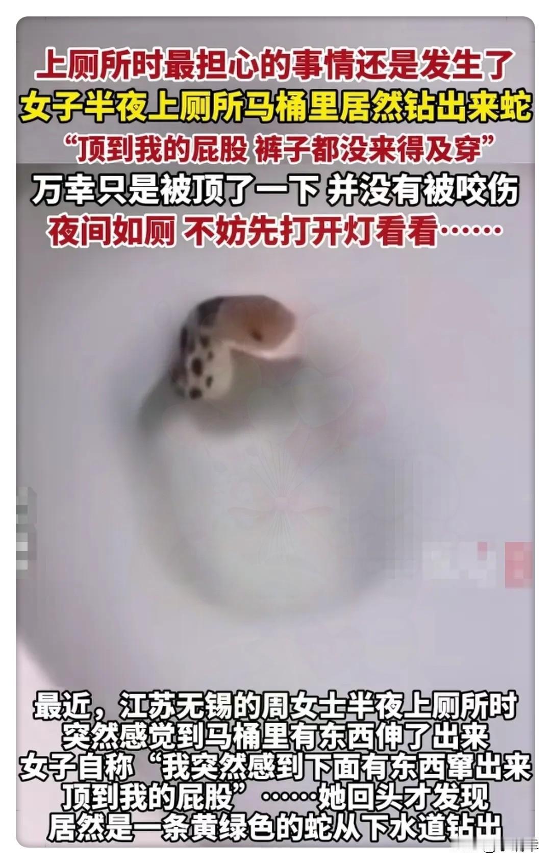 最担心的事还是发生了！
无锡一楼大姐深夜上厕所，
屁股竟被蛇“偷袭”？
这不是恐
