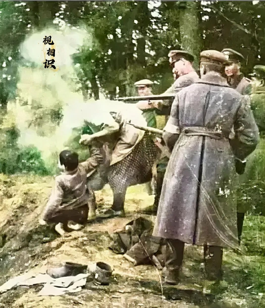 1942年，在纳粹铁蹄蹂躏下的乌克兰，一对犹太母子在临刑前留下了他们在人世间的最...