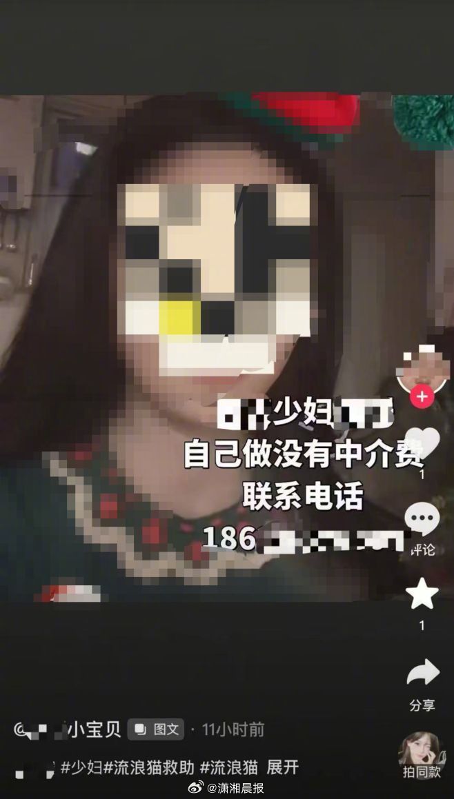 【#女子疑举报虐猫遭持续性骚扰#】#律师谈女子疑举报虐猫被开盒造黄谣#动物保护志