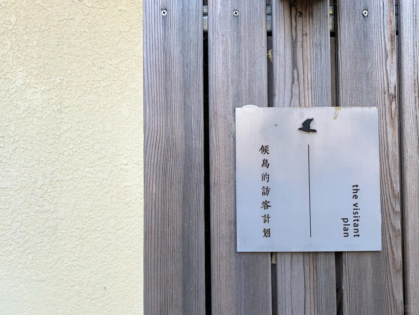 11.10 实拍｜ 北京森林系咖啡厅  候鸟咖啡