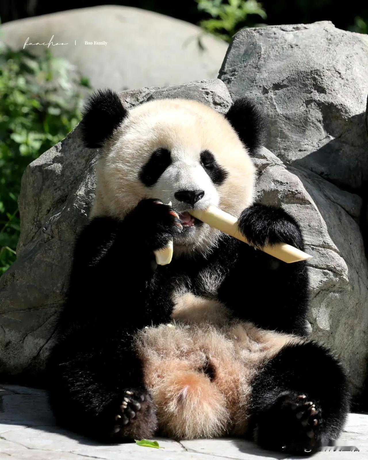 不知道名字的玩偶。能问下，这玩偶放在什么地方了。哪里有卖，我肯定，有很多人排队想