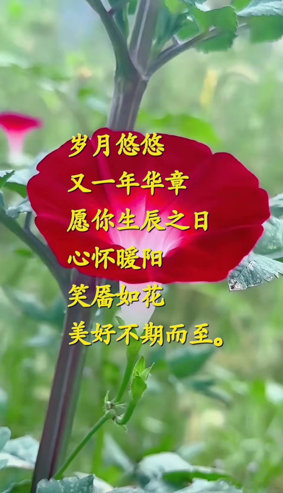 八珍汤加减治疗各种不孕症有奇效 至道汇 八珍汤加减治疗各种不孕症处方：当归12g