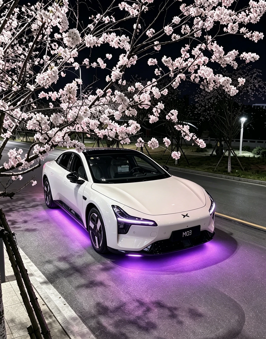 M03！公主请上车🥹🩰