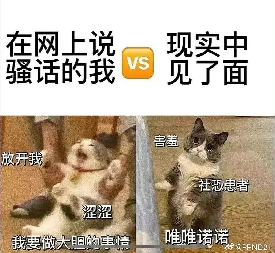 那天在家点披萨外卖，还给外卖小哥额外发了5块钱红包，毕竟地上滑溜溜的让我骑两轮车