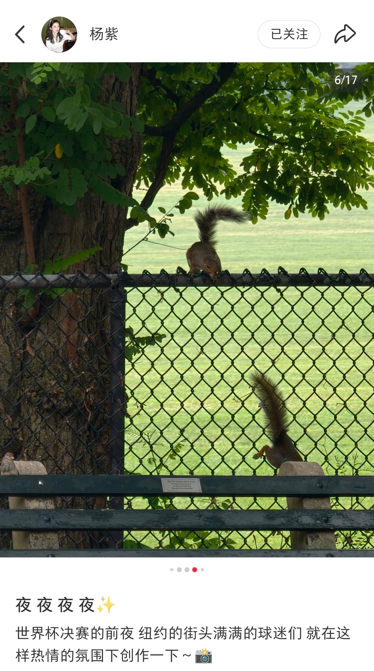 吱吱分享了吱吱🐿️ 