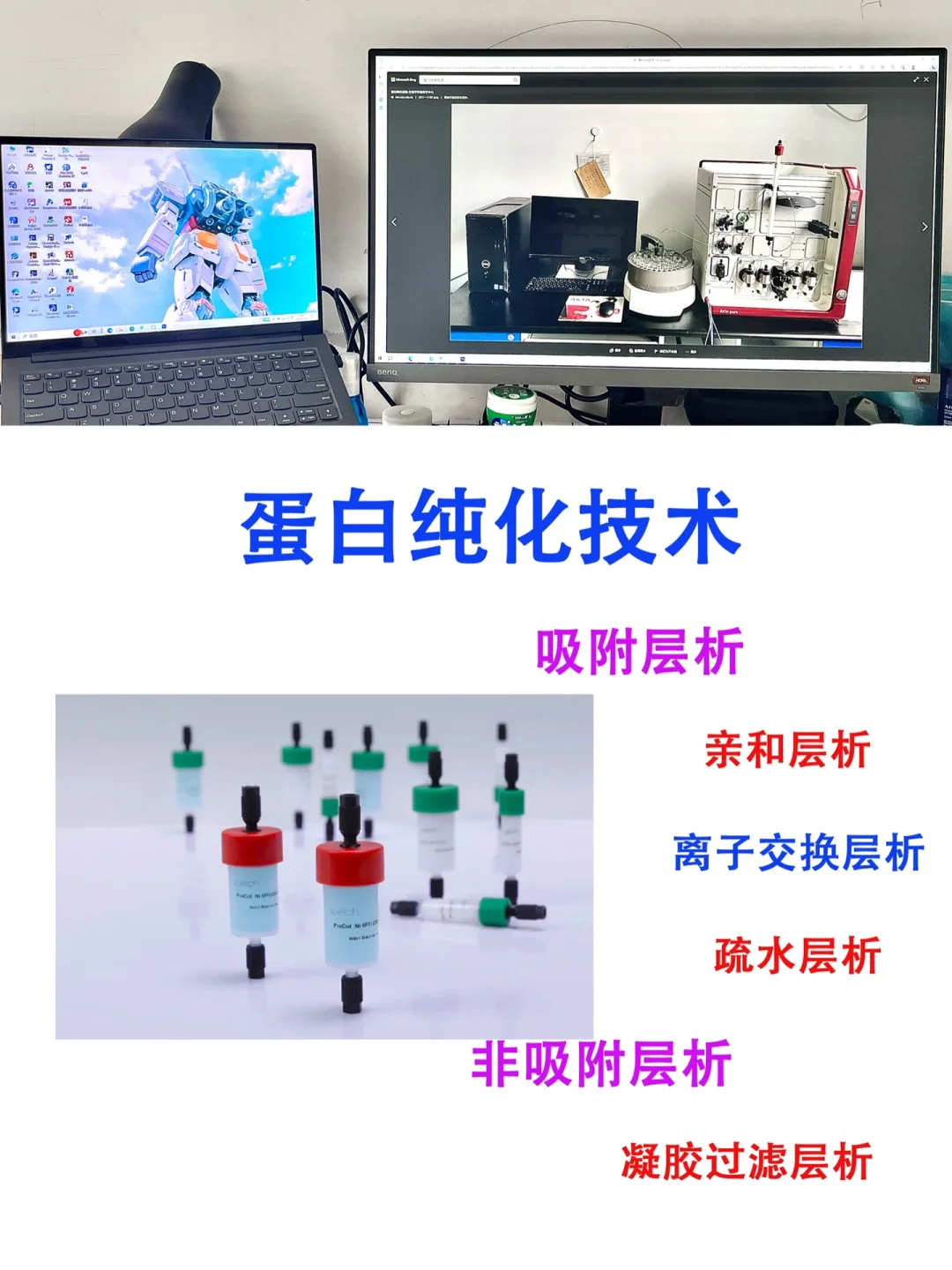 干货｜常用蛋白纯化技术分享