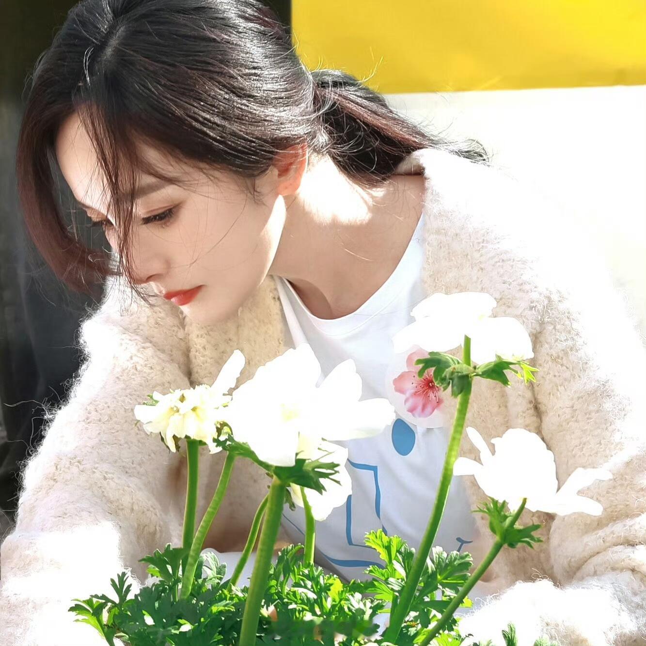 杨幂鲜花头像杨幂鲜花氛围感头像来喽，头像库再➕1💐！杨幂鲜花氛围感头像 ​​​