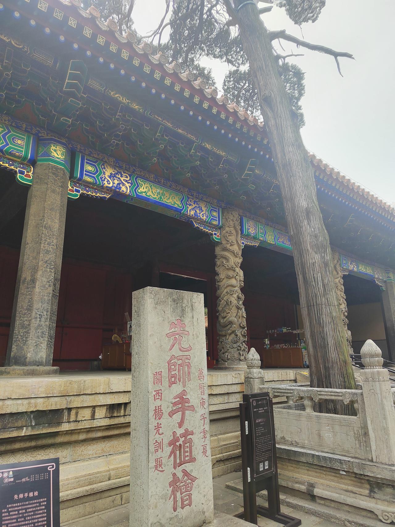 孔庙，孔子当年在故宅内亲手植下三棵桧树，仅有一棵成活。打公元前500年至今，已历