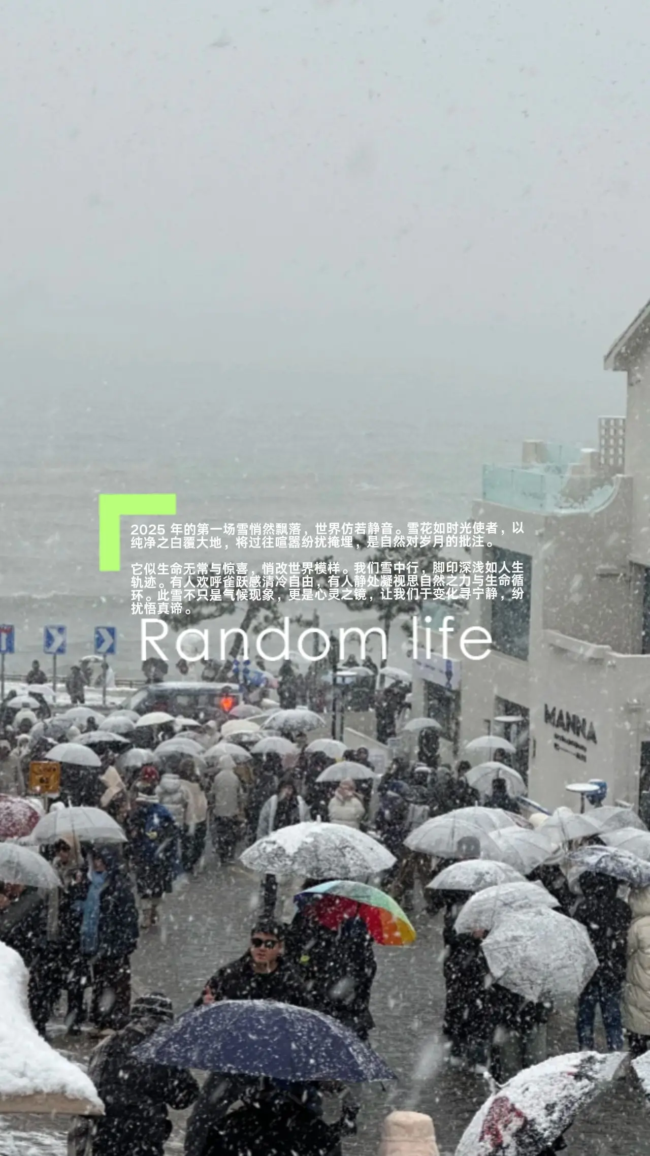 第一场雪。2025 年的第一场雪悄然飘落，世界仿若静音。雪花如时光使者...