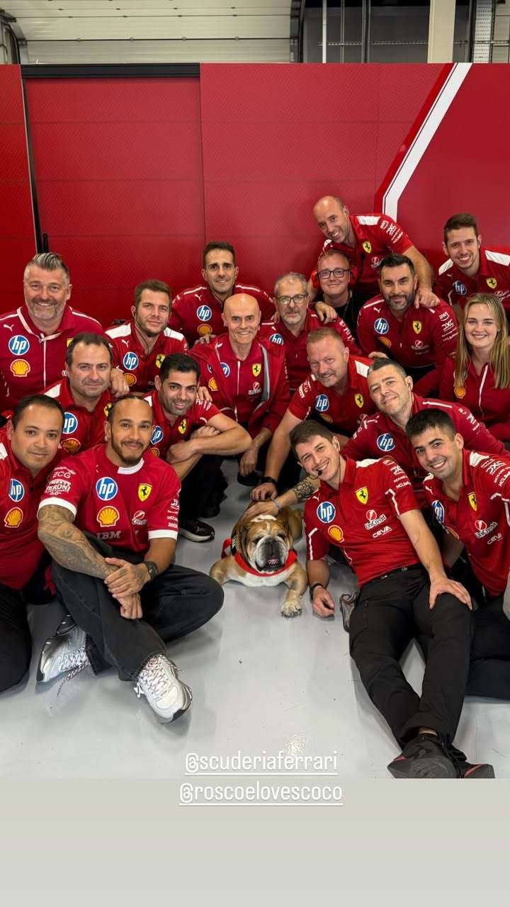 Roscoe做客法拉利P房🐶F12025F1英国大奖赛 ​​​