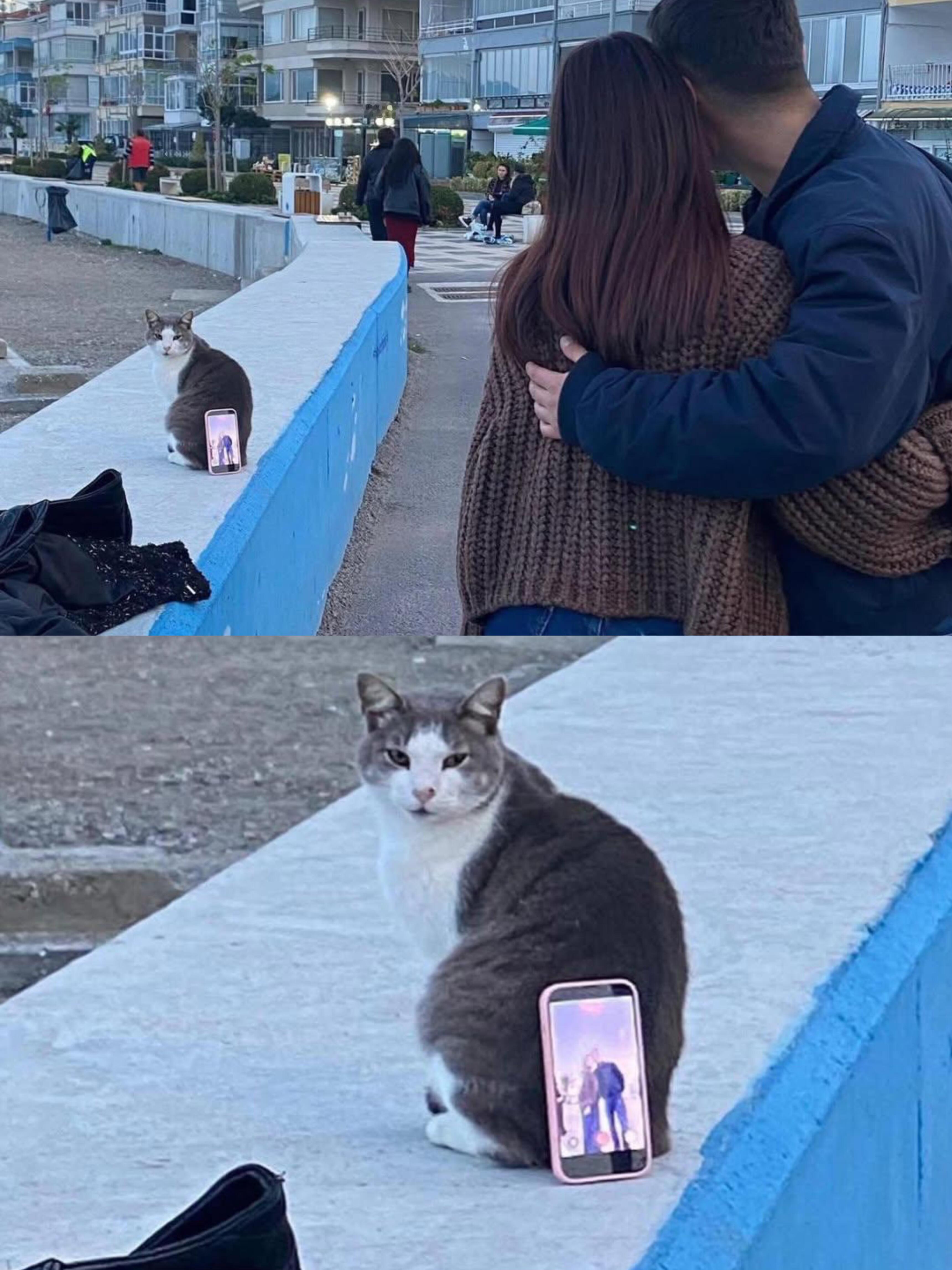 - 情侣：咪，帮我们拍张合影吧- 咪：OK 