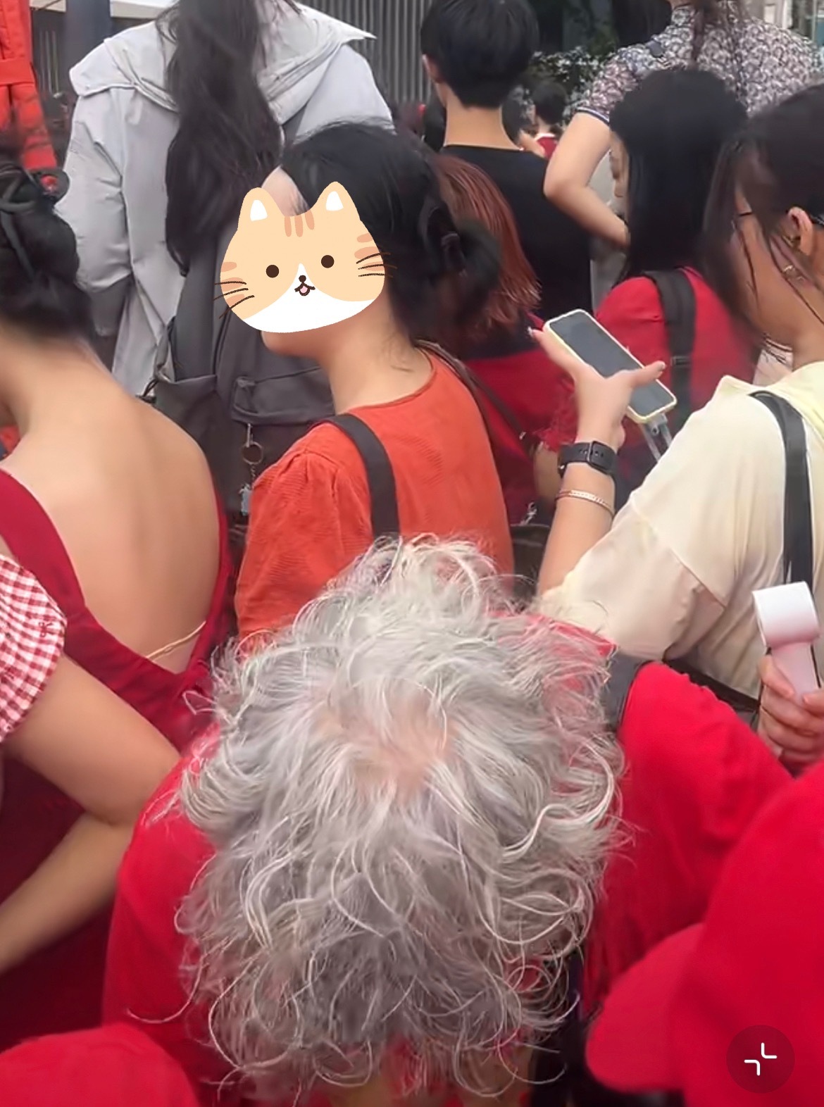 别再骂老奶了，你战的粉丝是真有老奶
