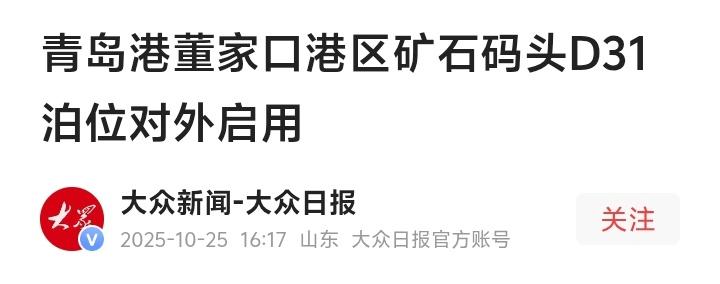 青岛董家口D31泊位正式启用！亿吨巨轮直靠中国心脏，山东港口狂飙背后的国家战略与