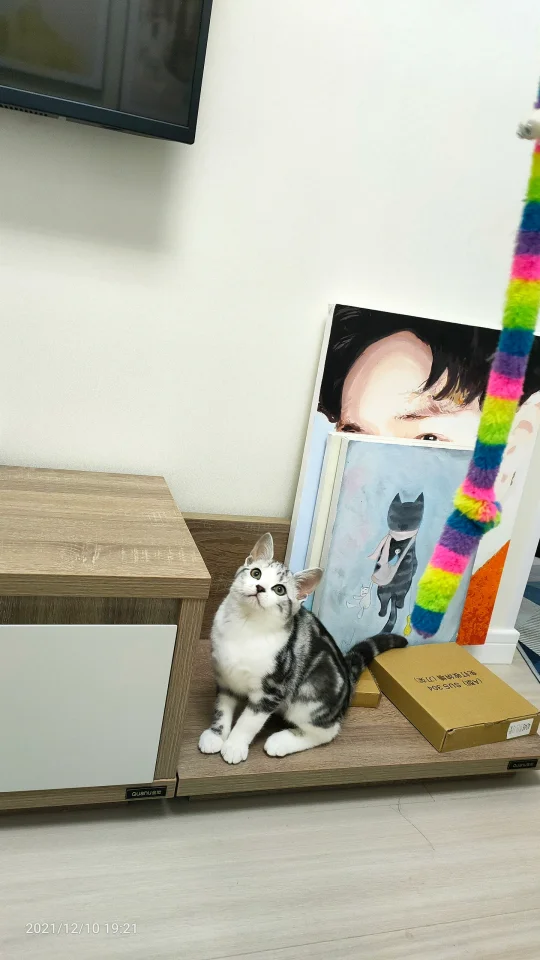 长大后连面相都变了😢