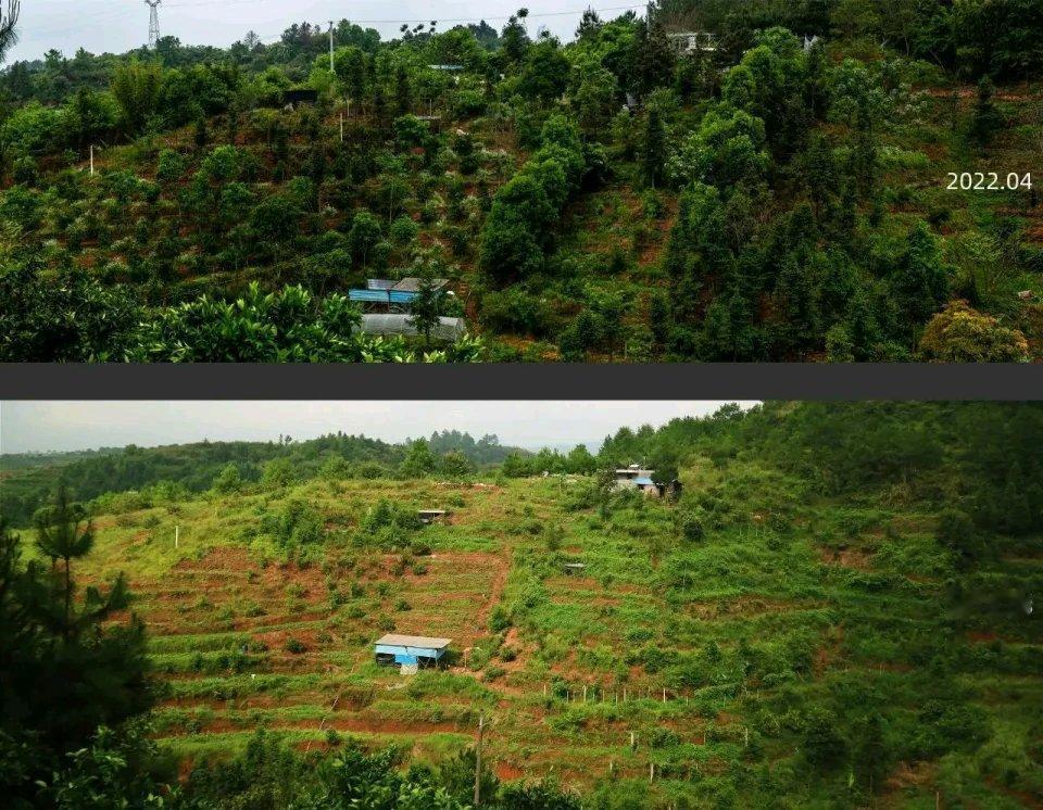 夫妻返乡种地七年再回城市，面临诸多困境。最初，缪睫被钟敏在山上的朴素生活吸引，两