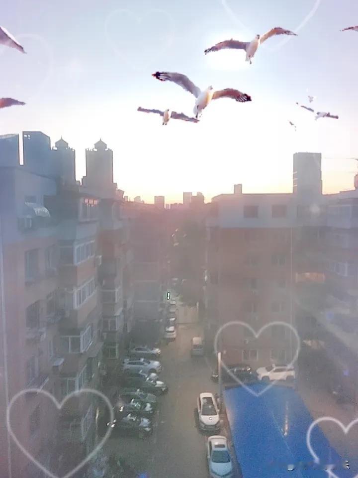 春日生活打卡季