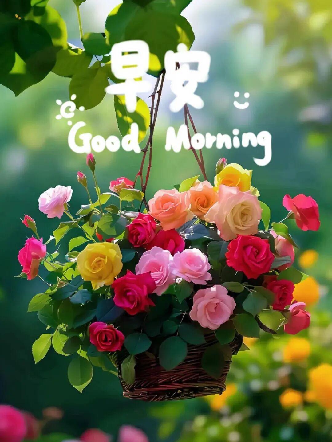 🌹亲爱的老友，心中欲望过多、杂念繁杂，很容易困住自己的心境☁️。崭新清晨，试着