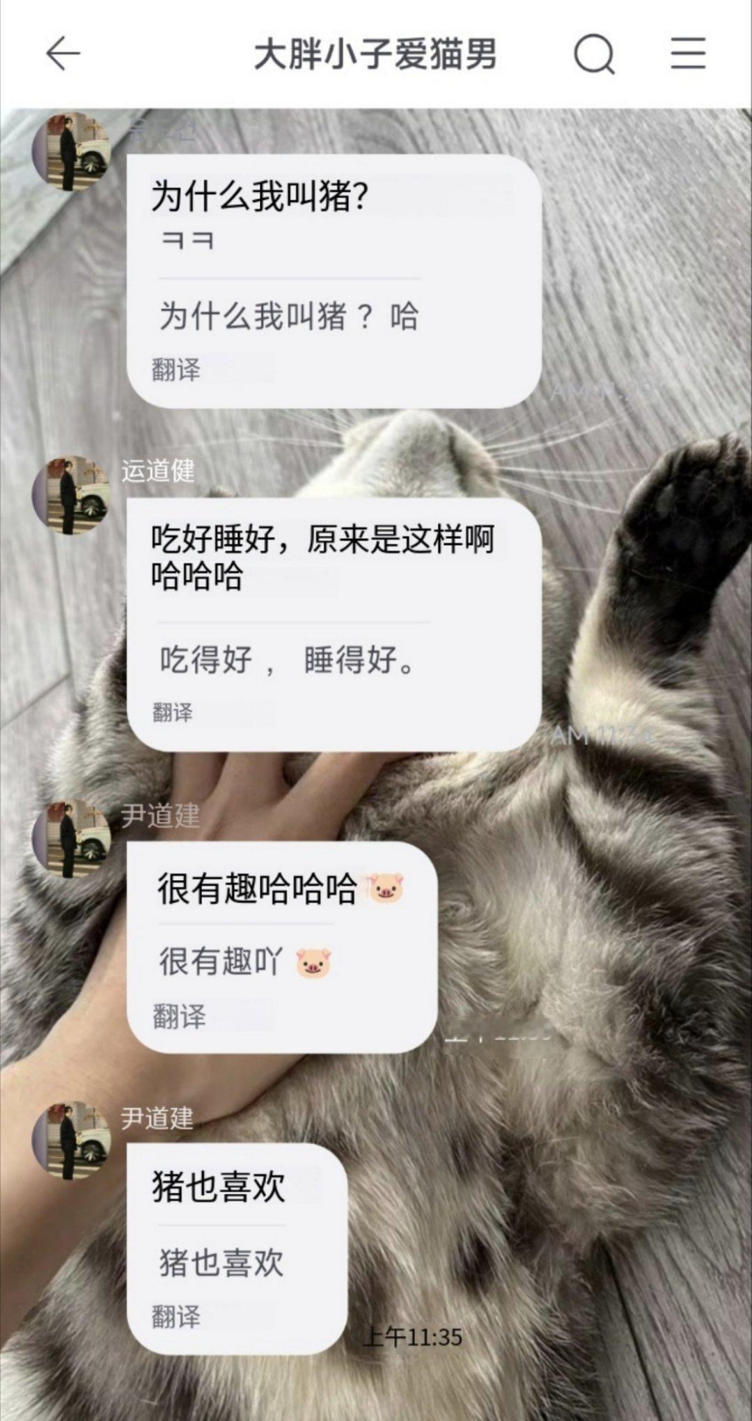 胖小同意了 